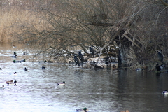 Killikus&reg; Fotographie